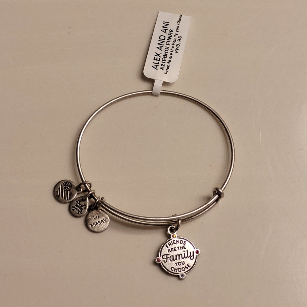Alex & Ani Friends Are The Family You Choose Charm Bangle Bracelet Silver-tone - Picture 4 of 16